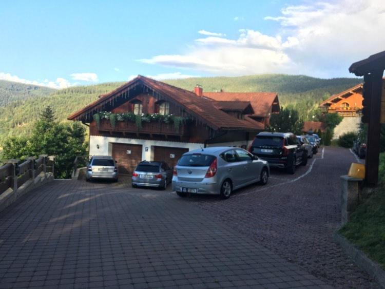 Pension Monte Rosa Špindlerŭv Mlýn Exterior foto